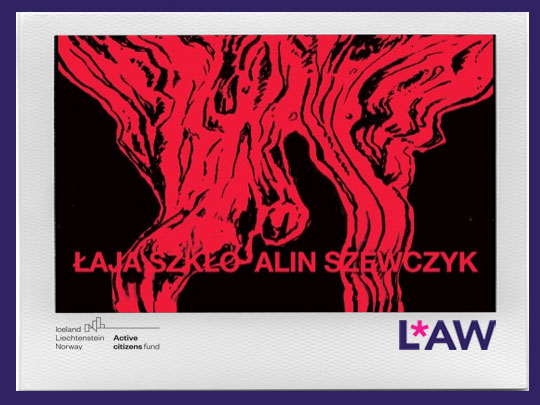 ACABADŁO Z PIECA SPADŁO ŁAI SZKŁO I ALIN SZEWCZYK. ZIN POETYCKI (2021)