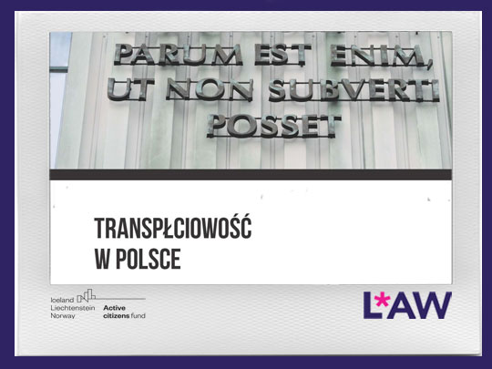 TRANSPŁCIOWOŚĆ W POLSCE. WYTWARZANIE KATEGORII MARII DĘBIŃSKIEJ. MONOGRAFIA (2020)